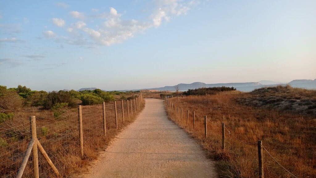 Platja de Pals